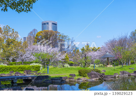 藤田邸跡公園の桜 139029123