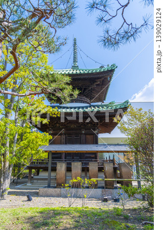藤田邸跡公園　旧光台院多宝塔 139029124