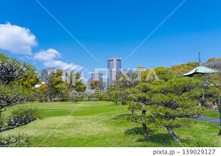 藤田邸跡公園の桜 藤田邸跡公園の桜 139029127