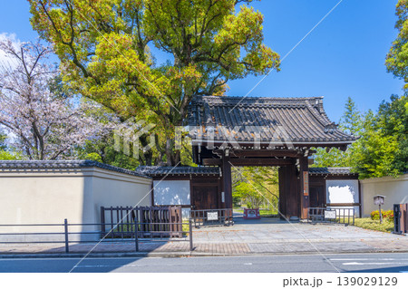 藤田邸跡公園　旧藤田邸表門と桜 139029129