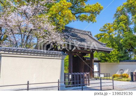 藤田邸跡公園 旧藤田邸表門と桜 藤田邸跡公園 旧藤田邸表門と桜 139029130