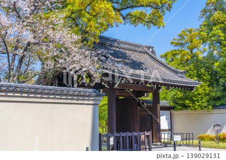 藤田邸跡公園　旧藤田邸表門と桜 139029131