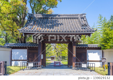 藤田邸跡公園 旧藤田邸表門と桜 藤田邸跡公園 旧藤田邸表門と桜 139029132