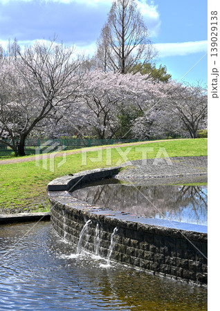 見沼田圃:七里総合公園 見沼田圃:七里総合公園 139029138