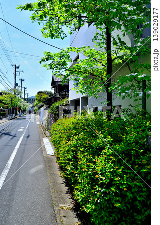 駒場東大前駅周辺の閑静な高級住宅街　ハナミズキの咲く並木道 139029177
