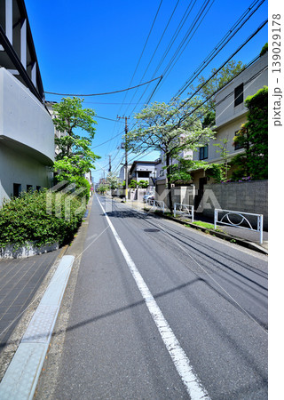 駒場東大前駅周辺の閑静な高級住宅街　ハナミズキの咲く並木道 139029178