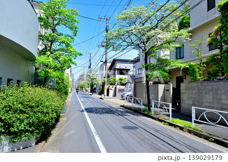 駒場東大前駅周辺の閑静な高級住宅街 ハナミズキの咲く並木道 駒場東大前駅周辺の閑静な高級住宅街 ハナミズキの咲く並木道 139029179