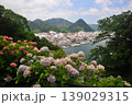 伊豆下田　紫陽花 139029315