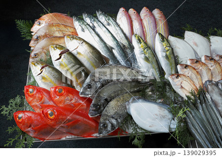 多種類の鮮魚　金目鯛やサヨリを含む瀬戸内の海の幸 139029395