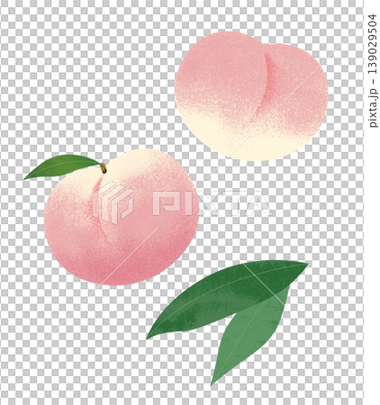桃のイラスト 139029504
