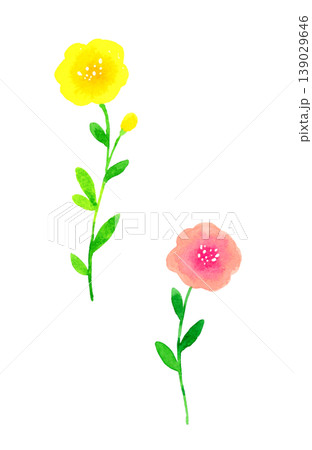 ピンク色&黄色のオシャレな花 植物の手描き水彩イラスト素材 ピンク色&黄色のオシャレな花 植物の手描き水彩イラスト素材 139029646