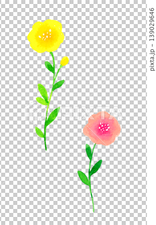 時尚的粉紅色和黃色花朵——手繪水彩植物插圖。 時尚的粉紅色和黃色花朵——手繪水彩植物插圖。 139029646