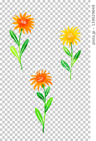 黄色&オレンジ色のオシャレな花 植物の手描き水彩イラスト素材 黄色&オレンジ色のオシャレな花 植物の手描き水彩イラスト素材 139029649