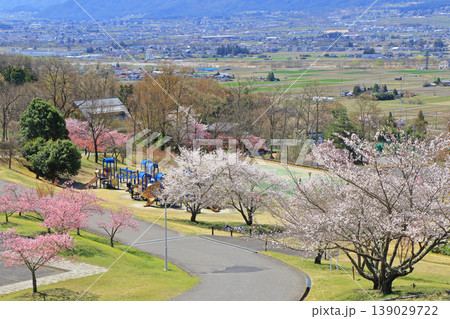 桜咲く春の安曇野 139029722