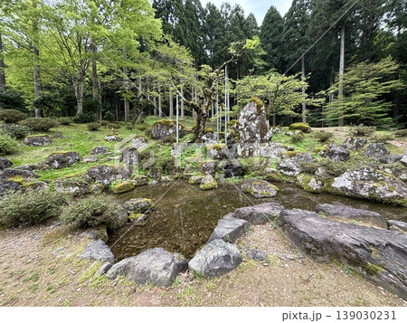 諏訪館跡庭園 諏訪館跡庭園 139030231