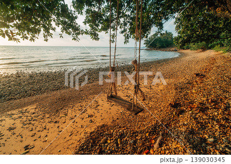 Empty wooden rope swing hanging from a large tree over a peaceful rocky beach at sunset, looking out towards the calm ocean. 139030345