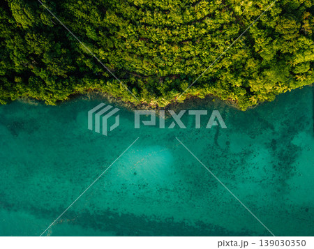 Pristine mangrove forest meeting the clear turquoise sea, a symbol of coastal nature conservation and biodiversity. Pristine mangrove forest meeting the clear turquoise sea, a symbol of coastal nature conservation and biodiversity. 139030350
