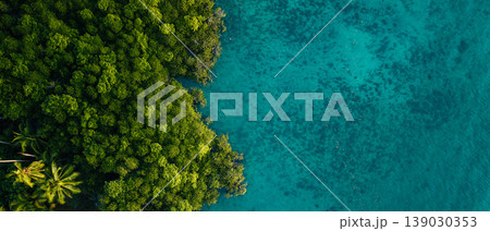 Pristine mangrove forest meeting the clear turquoise sea, a symbol of coastal nature conservation and biodiversity. 139030353