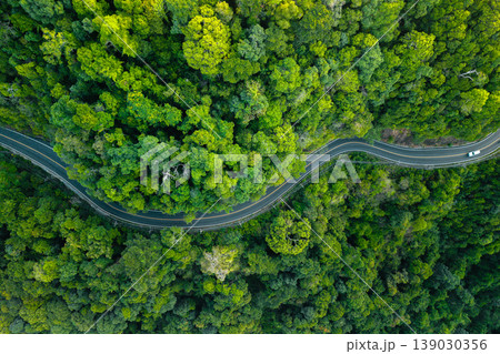 Scenic winding road through dense tropical forest and eco-friendly coastal resorts, promoting sustainable travel. Scenic winding road through dense tropical forest and eco-friendly coastal resorts, promoting sustainable travel. 139030356