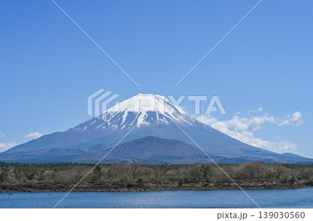 山梨県精進湖と富士山 139030560