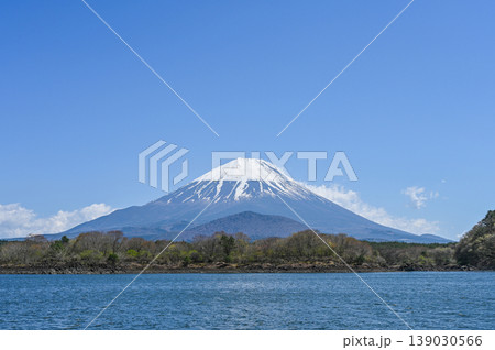 山梨県精進湖と富士山 139030566