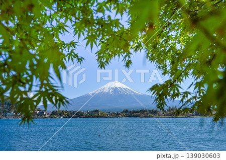山梨県河口湖と富士山 139030603