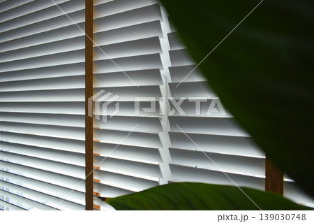white window blinds and green leaf in home, object for decorate interior of house 139030748