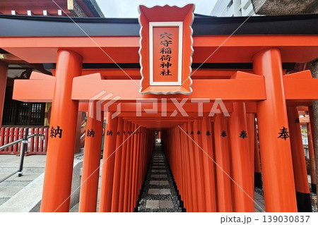 Corridor of vibrant red torii gates at the Anamori Inari Shrine in Tokyo, Japan. Corridor of vibrant red torii gates at the Anamori Inari Shrine in Tokyo, Japan. 139030837