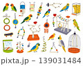 Pet birds clipart set, flat cartoon budgies, lovebirds, canaries, sun conures and macaws with perches, feeders, playgrounds, toys and water dispensers. Home bird care and pet shop vector illustration 139031484