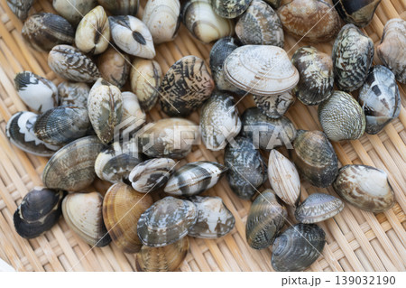 ざるに盛られたアサリの俯瞰 139032190
