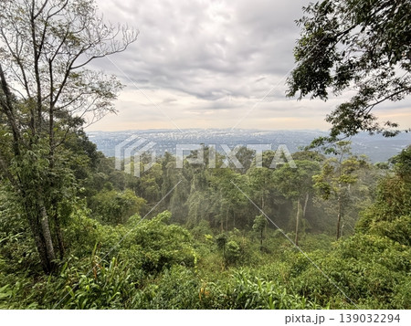 Breathtaking Panoramic View of Lush Tropical Rainforest Canopy under Dramatic Cloudy Sky Breathtaking Panoramic View of Lush Tropical Rainforest Canopy under Dramatic Cloudy Sky 139032294