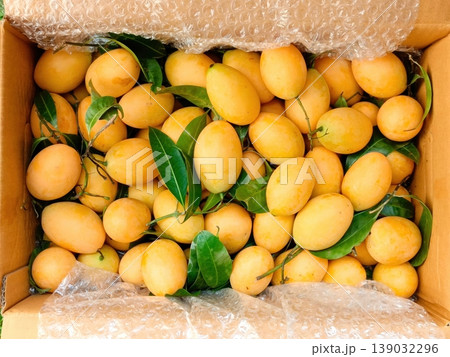 Fresh Ripe Marian Plums or Maprang Fruit in a Delivery Box with Bubble Wrap 139032296