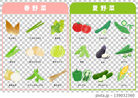 一組描繪各種春夏季蔬菜的插圖。 一組描繪各種春夏季蔬菜的插圖。 139032360