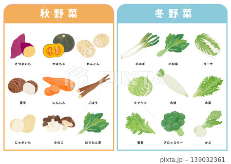 色々な秋野菜と冬野菜のイラストセット 色々な秋野菜と冬野菜のイラストセット 139032361