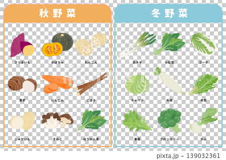 色々な秋野菜と冬野菜のイラストセット 色々な秋野菜と冬野菜のイラストセット 139032361