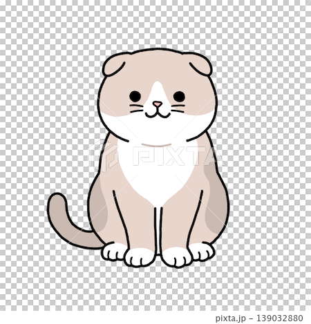 Scottish fold sitting Scottish fold sitting 139032880