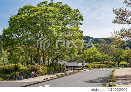 国営飛鳥歴史公園石舞台地区 奈良県明日香村 国営飛鳥歴史公園石舞台地区 奈良県明日香村 139032901