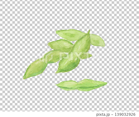 一幅用水彩繪製的簡單毛豆插圖。 139032926