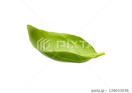 Green basil leaf for cooking and seasoning dishes, PNG Green basil leaf for cooking and seasoning dishes, PNG 139033036