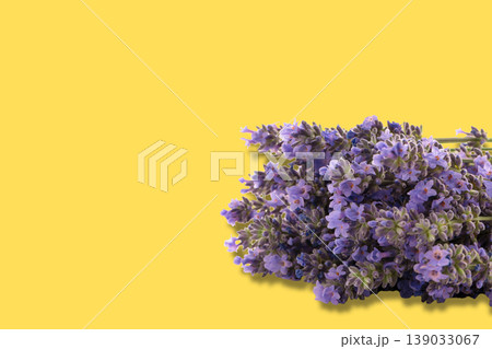Purple lavender flowers are arranged and displayed 139033067