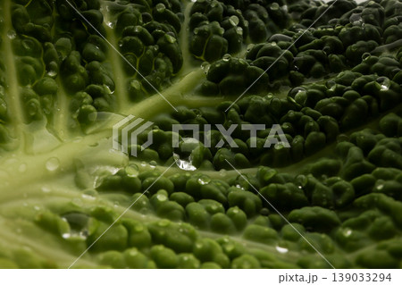 Cabbage leaf with droplets close up shot 139033294