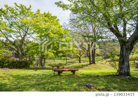 明日香村の景勝地 石舞台展望台 奈良県 明日香村の景勝地 石舞台展望台 奈良県 139033415