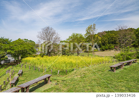 明日香村の景勝地 石舞台展望台 奈良県 明日香村の景勝地 石舞台展望台 奈良県 139033416
