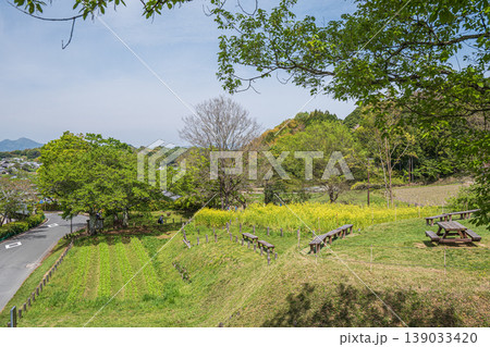 明日香村の景勝地 石舞台展望台 奈良県 明日香村の景勝地 石舞台展望台 奈良県 139033420
