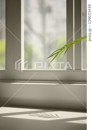Natural Sunlight and Leaf Shadows on Window and Wooden Floor Background. Natural Sunlight and Leaf Shadows on Window and Wooden Floor Background. 139033439