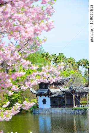 桜咲く春の鶴見緑地公園の風景 桜咲く春の鶴見緑地公園の風景 139033612