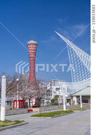 神戸ポートタワーと桜 メリケンパーク 神戸ポートタワーと桜 メリケンパーク 139033683