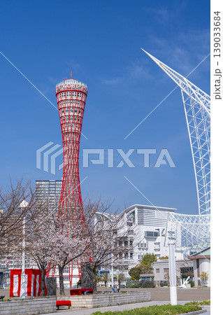 神戸ポートタワーと桜 メリケンパーク 神戸ポートタワーと桜 メリケンパーク 139033684