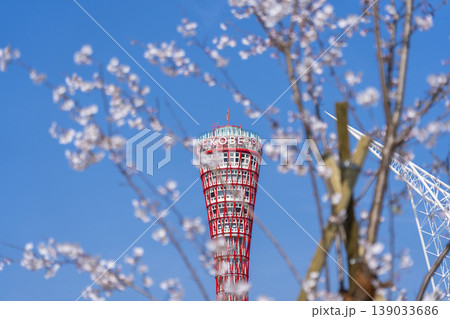 神戸ポートタワーと桜 メリケンパーク 神戸ポートタワーと桜 メリケンパーク 139033686