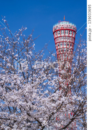 神戸ポートタワーと桜 メリケンパーク 神戸ポートタワーと桜 メリケンパーク 139033695